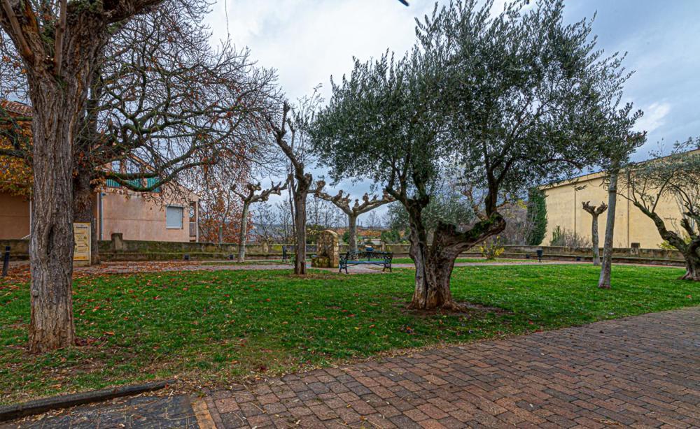 Apartamento Virgen Del Valle Cenicero Exterior photo
